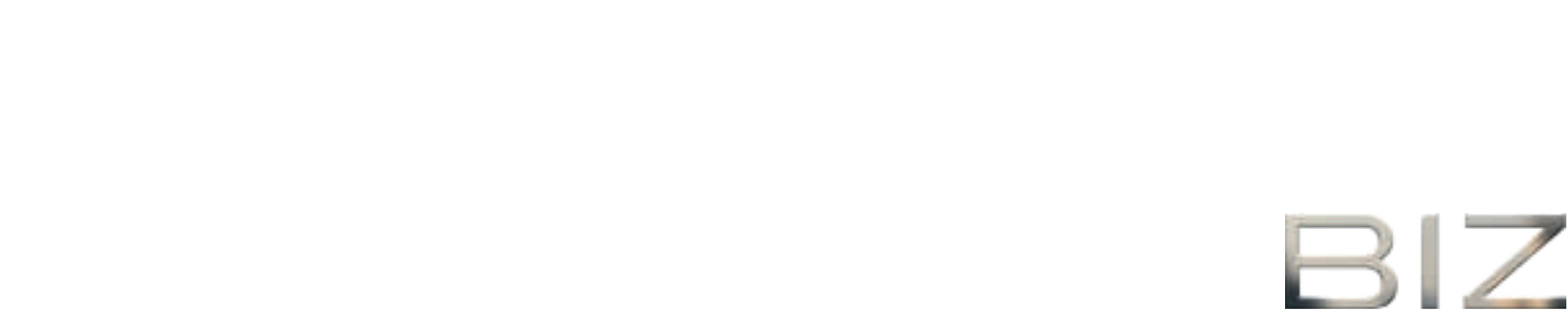 Lungarini BIZ